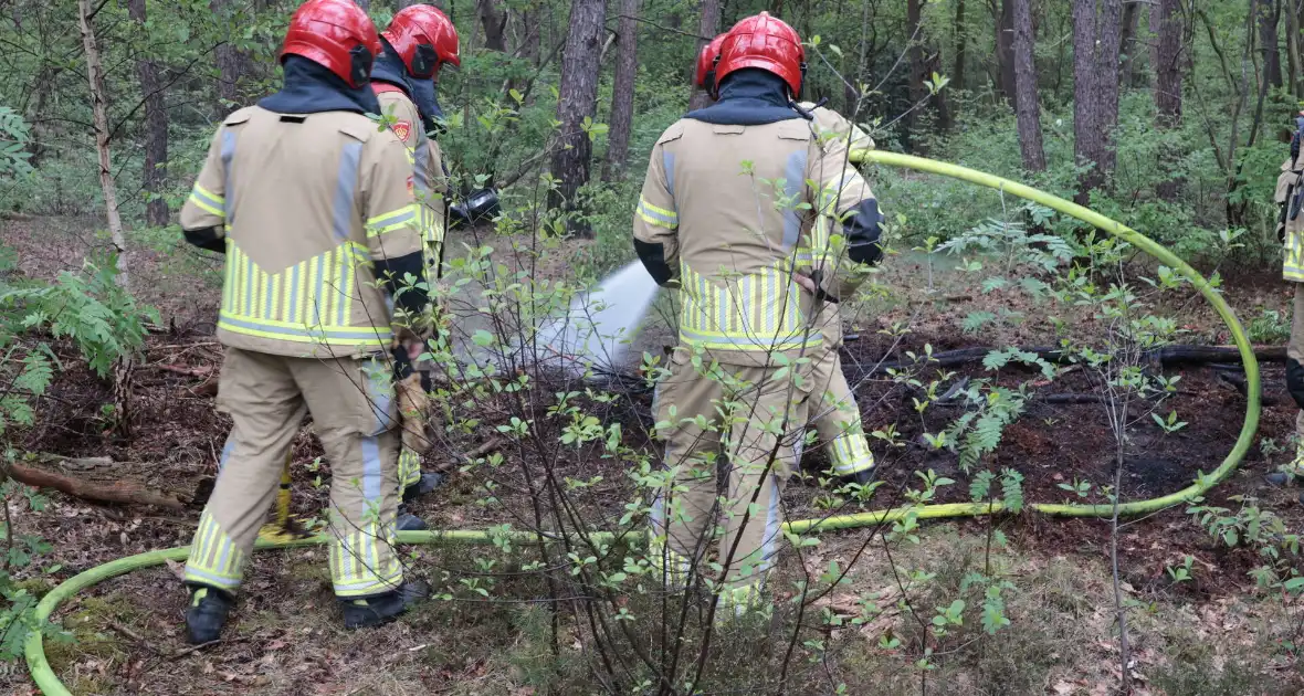 Beginnende bosbrand snel geblust - Foto 2