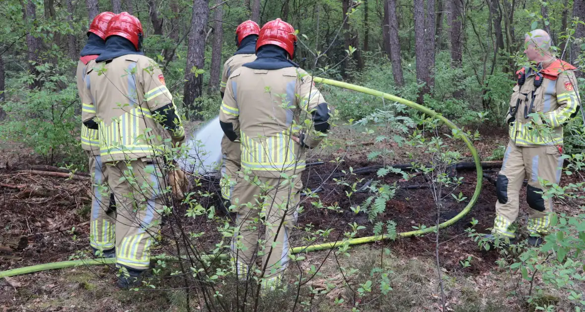 Beginnende bosbrand snel geblust - Foto 3