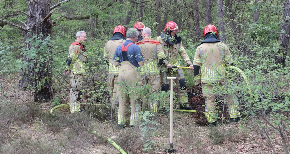Beginnende bosbrand snel geblust - Foto 6
