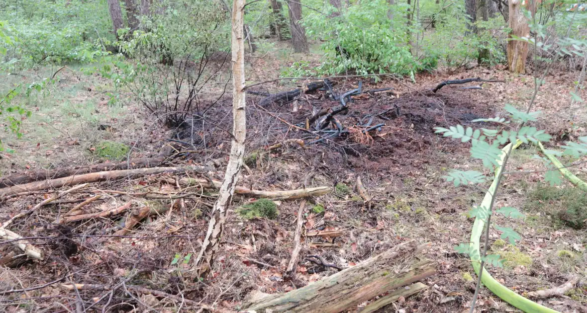 Beginnende bosbrand snel geblust - Foto 8