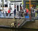 Brandweer redt ree uit het water