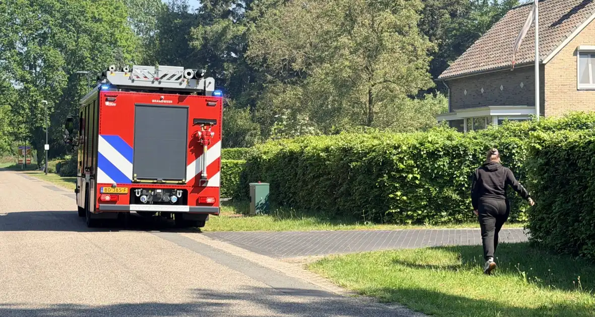 Buitenbrand in heg snel geblust - Foto 2