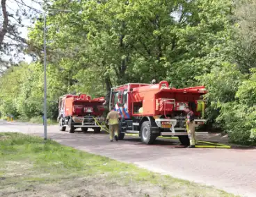 Brand in bosgebied onder controle