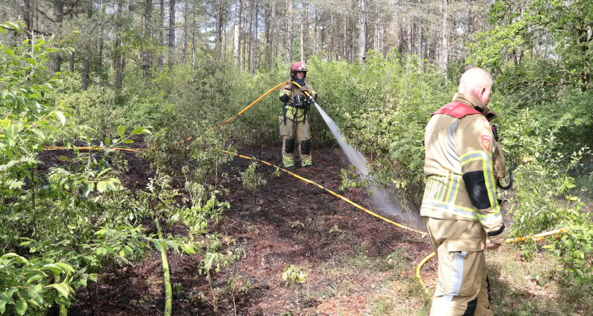 Brand in bosgebied onder controle - Foto 10