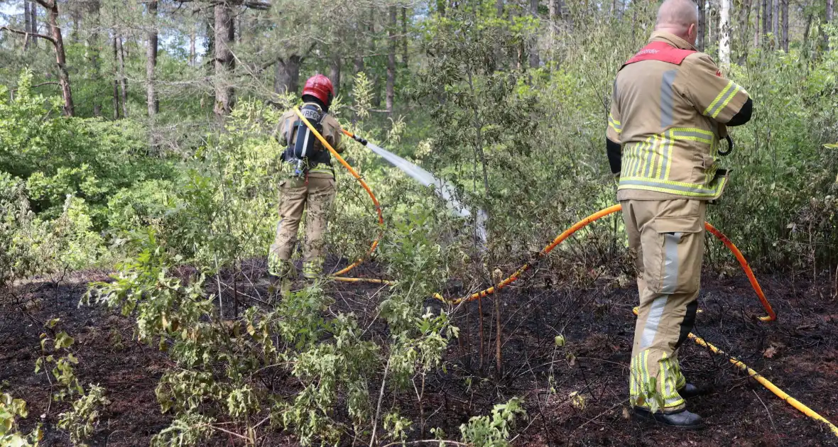 Brand in bosgebied onder controle - Foto 2
