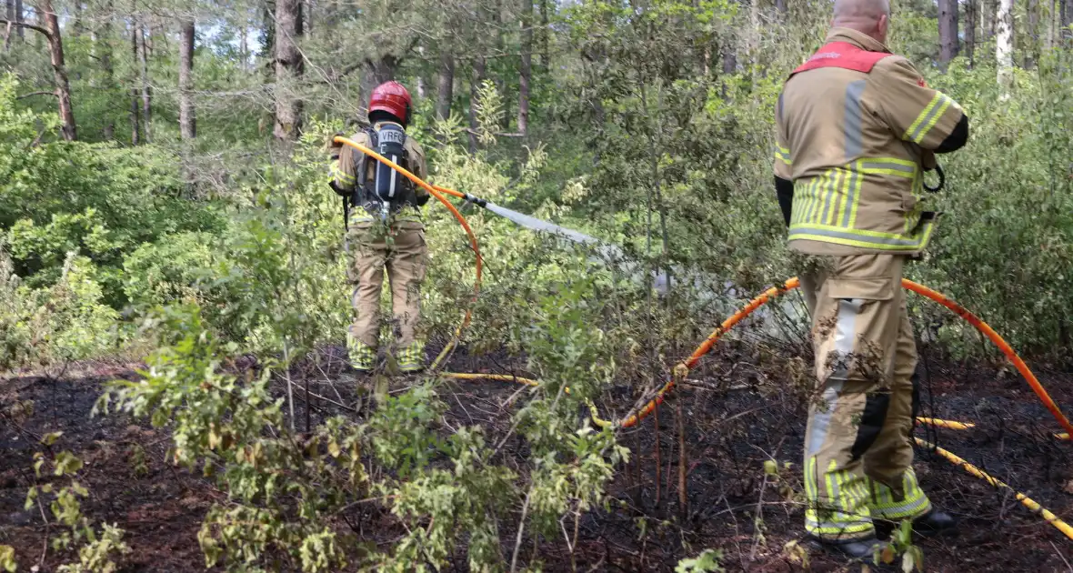 Brand in bosgebied onder controle - Foto 3