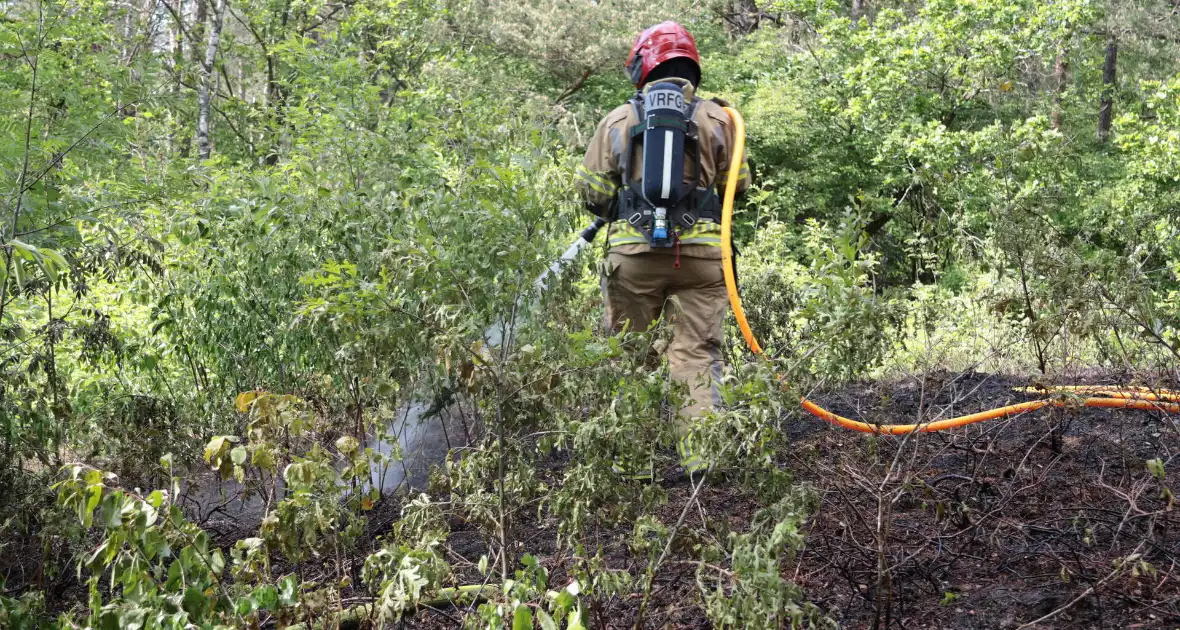 Brand in bosgebied onder controle - Foto 4