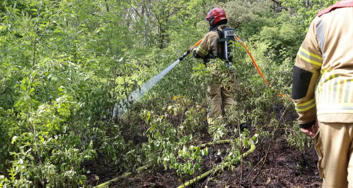 Brand in bosgebied onder controle - Foto 5