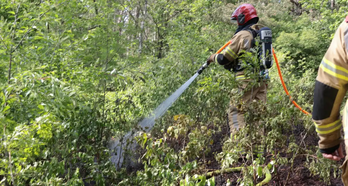 Brand in bosgebied onder controle - Foto 6