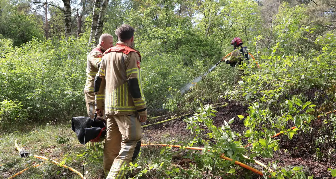 Brand in bosgebied onder controle - Foto 7