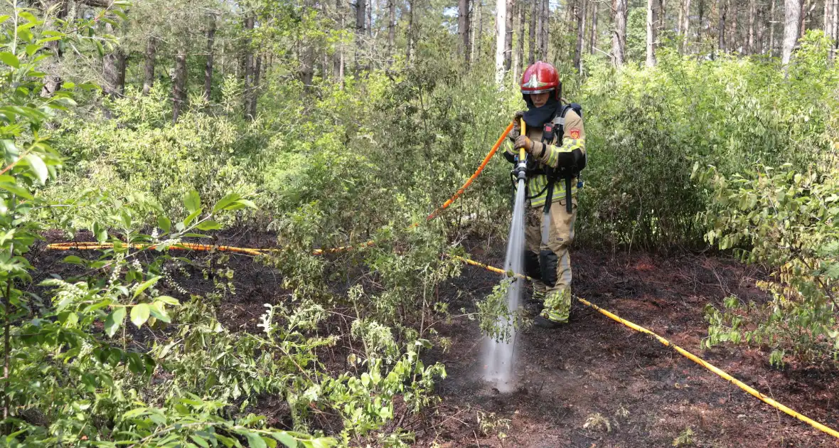 Brand in bosgebied onder controle - Foto 9