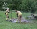 Brandende takken geblust door brandweer