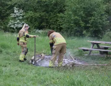 Brandende takken geblust door brandweer