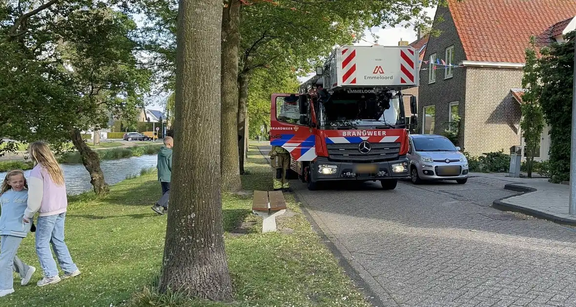 Brandweer redt meeuw uit benarde situatie - Foto 2