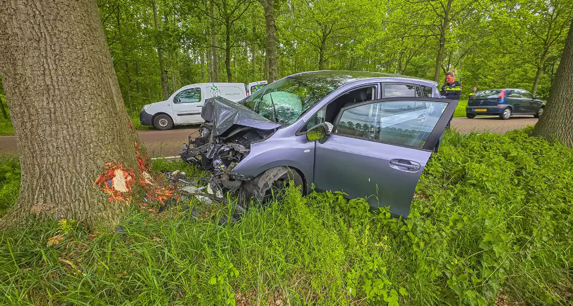 Auto botst frontaal tegen boom twee gewonden - Foto 1