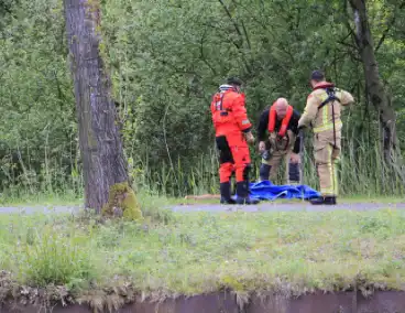 Ree sterft na reddingsactie van brandweer