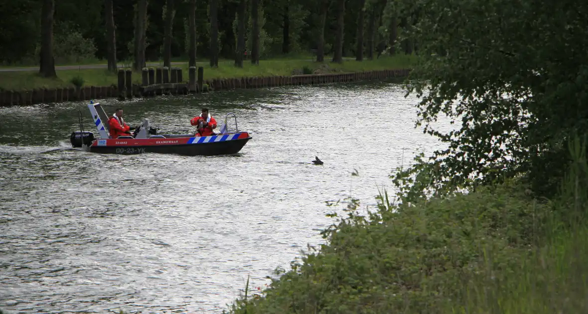 Ree sterft na reddingsactie van brandweer - Foto 4