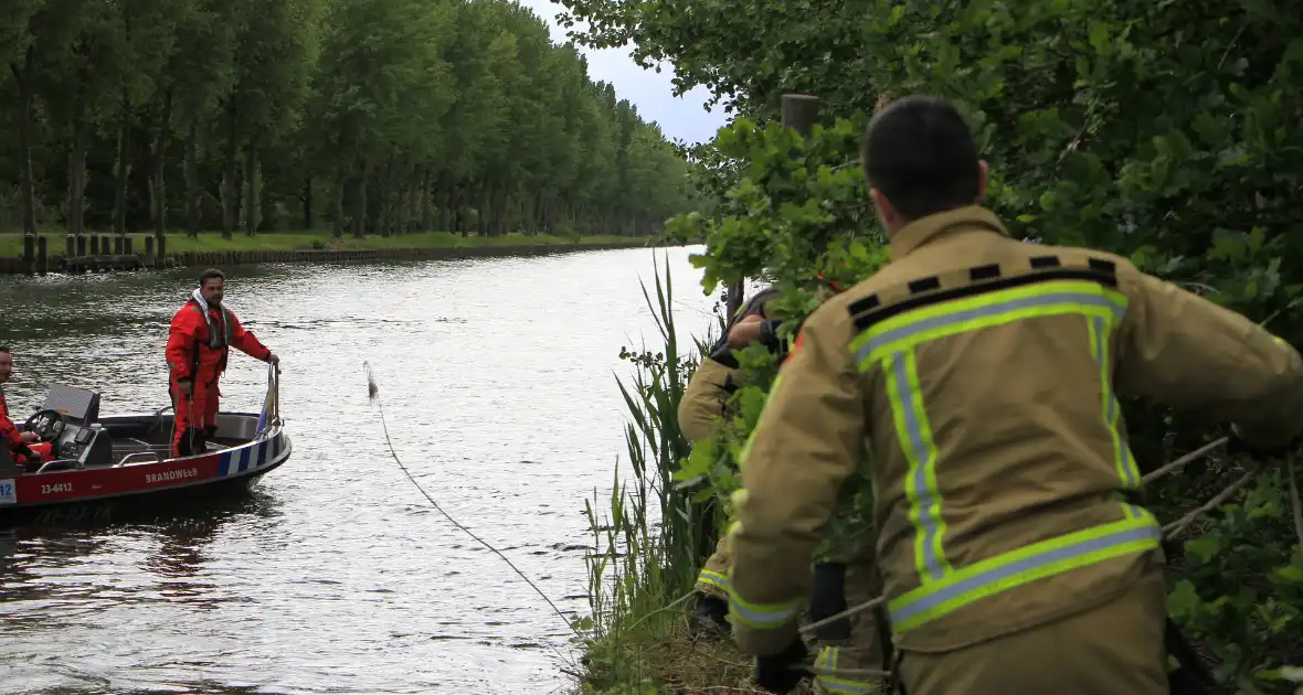 Ree sterft na reddingsactie van brandweer - Foto 8
