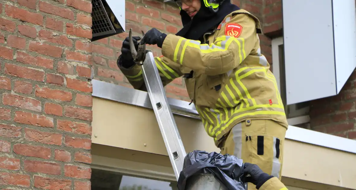 Brandweer redt zwaluwen te laat
