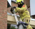 Brandweer redt zwaluwen te laat