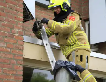 Brandweer redt zwaluwen te laat
