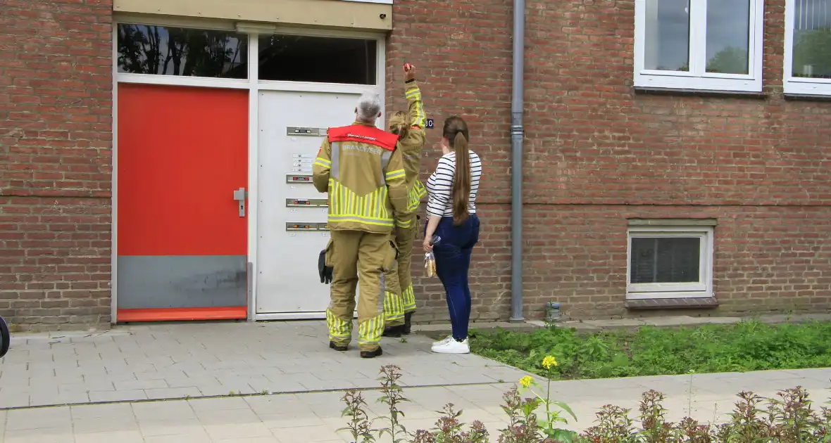 Brandweer redt zwaluwen te laat - Foto 1