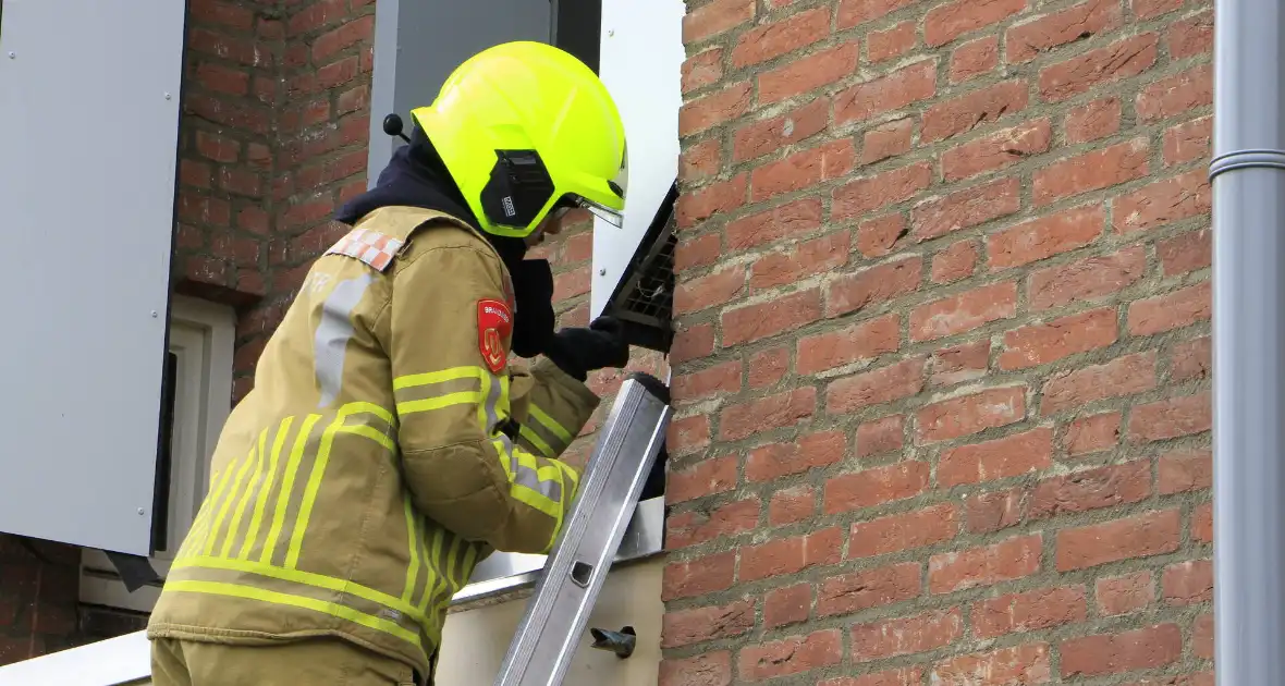 Brandweer redt zwaluwen te laat - Foto 11