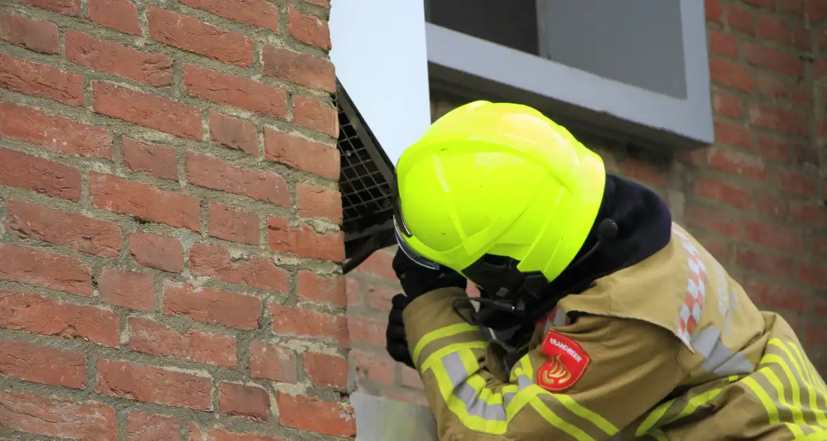 Brandweer redt zwaluwen te laat - Foto 13