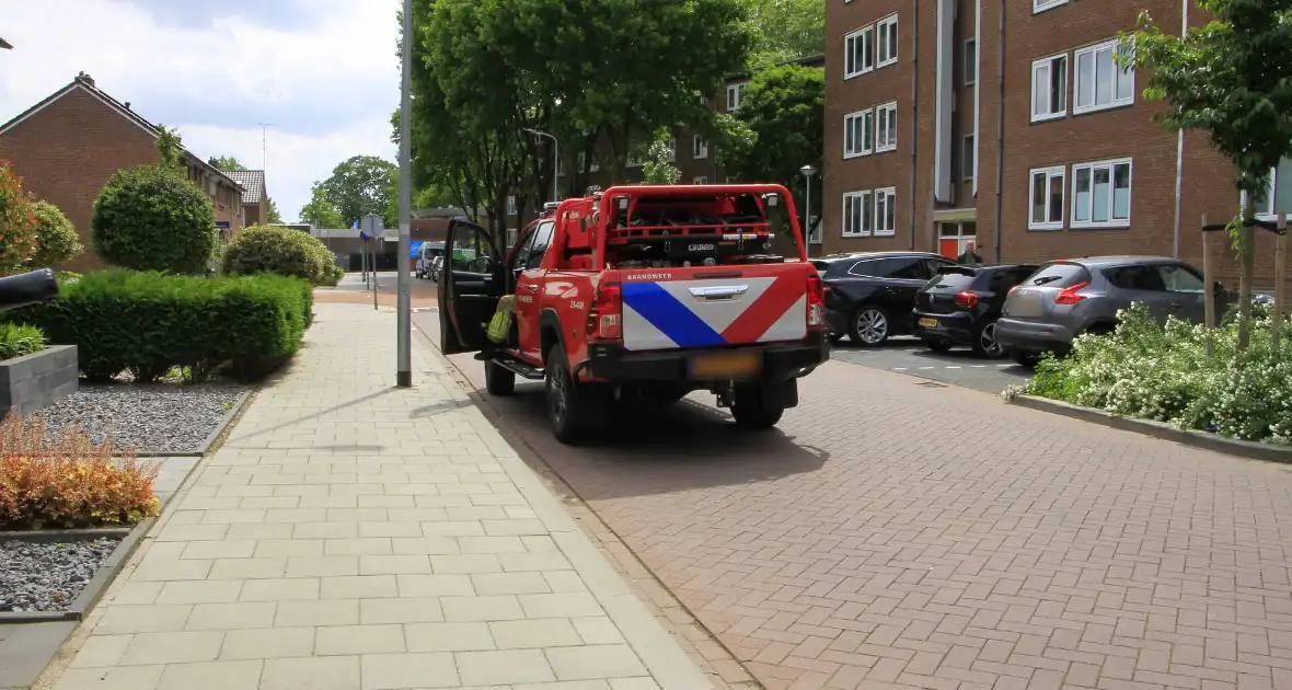 Brandweer redt zwaluwen te laat - Foto 17