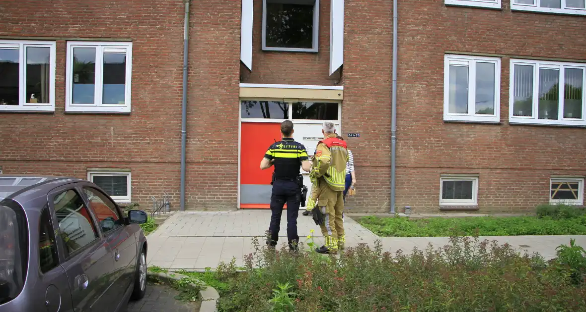 Brandweer redt zwaluwen te laat - Foto 2