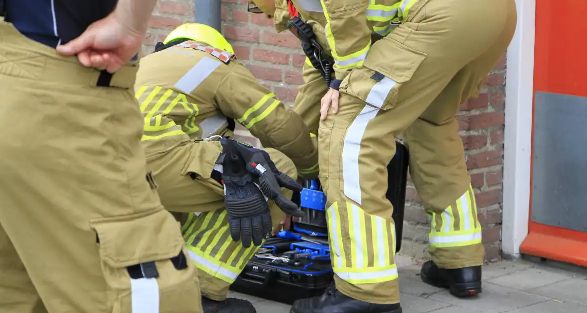Brandweer redt zwaluwen te laat - Foto 3