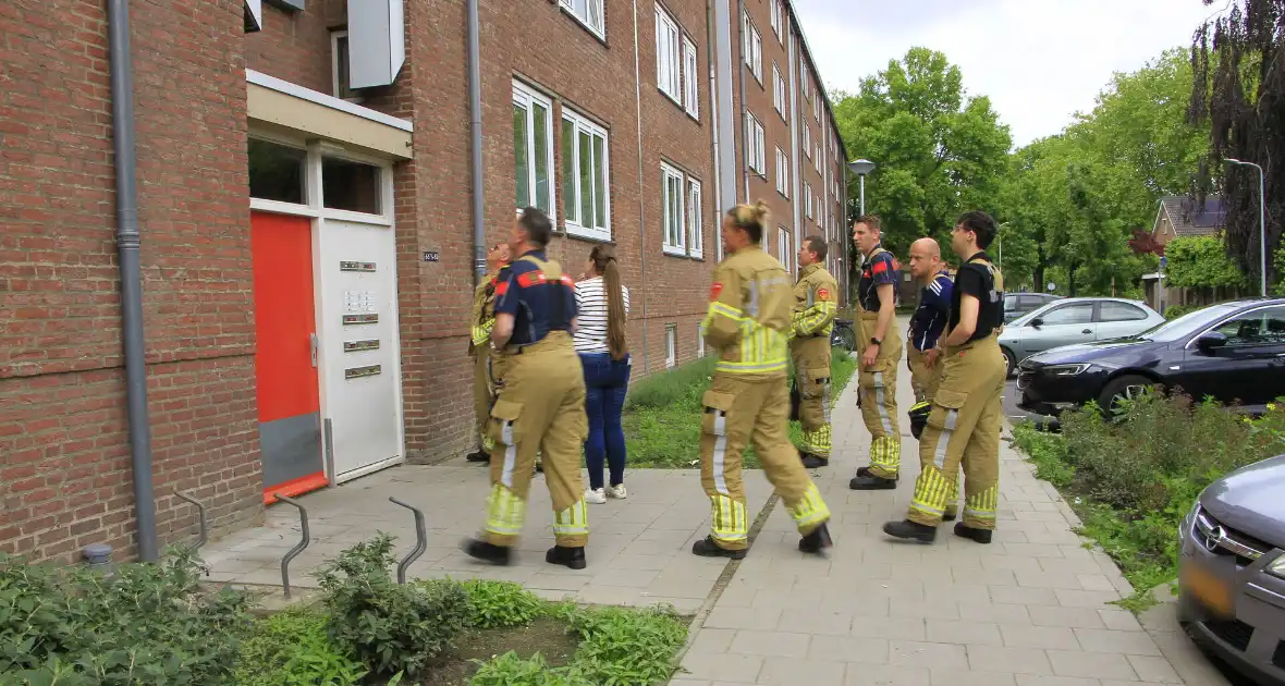Brandweer redt zwaluwen te laat - Foto 4