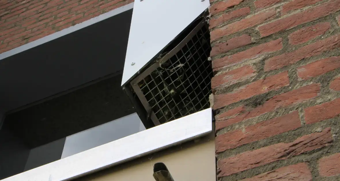 Brandweer redt zwaluwen te laat - Foto 5