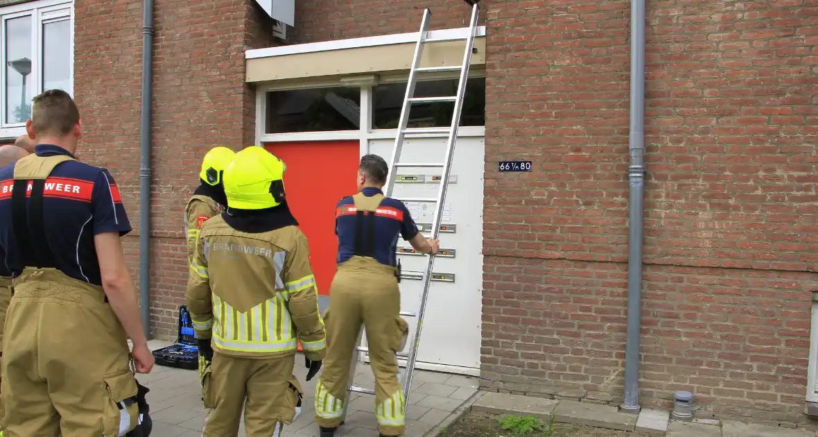 Brandweer redt zwaluwen te laat - Foto 7