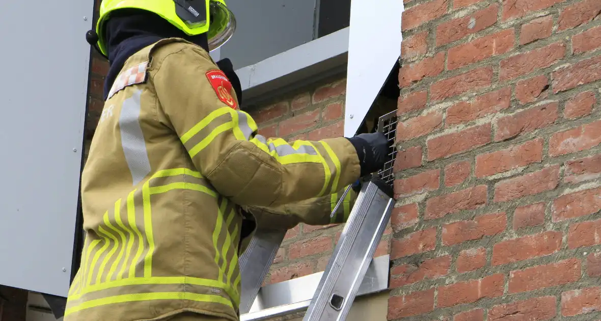 Brandweer redt zwaluwen te laat - Foto 8