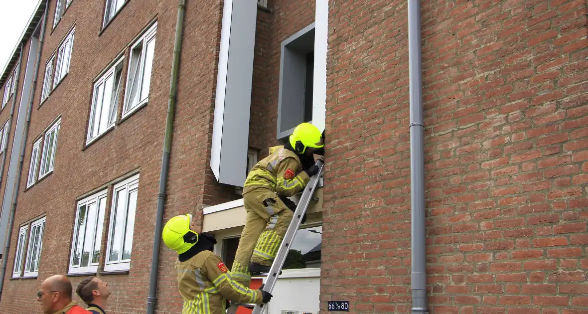 Brandweer redt zwaluwen te laat - Foto 9