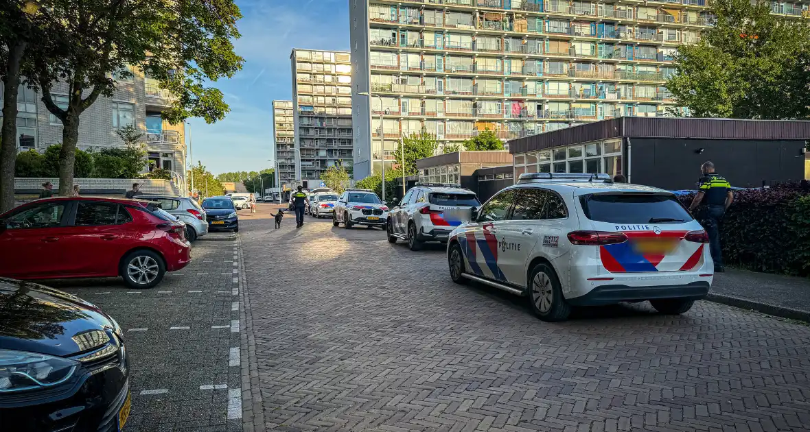 Hondengeleiders en vele agenten ingezet voor persoon met onbegrepen gedrag - Foto 9