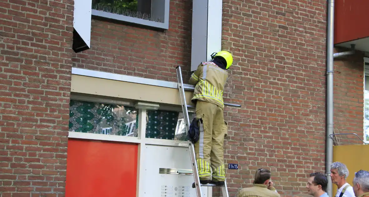 Kinderen helpen brandweer bij bevrijding van vastzittende kraai