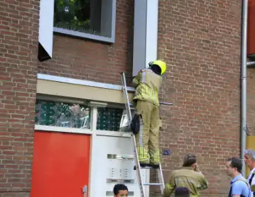 Kinderen helpen brandweer bij bevrijding van vastzittende kraai