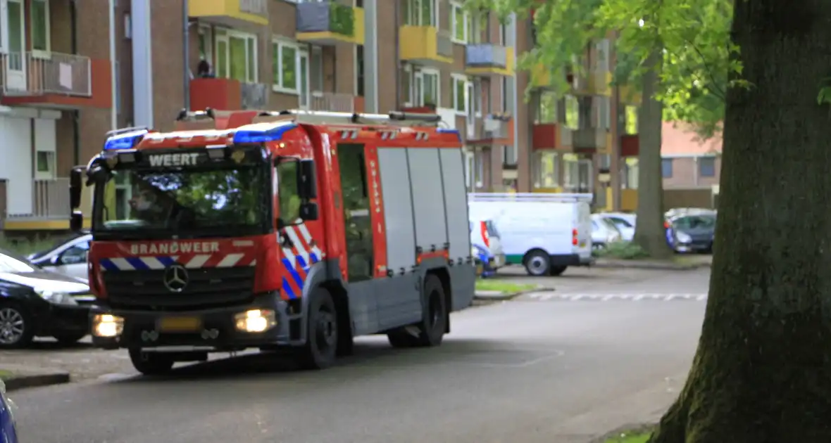 Kinderen helpen brandweer bij bevrijding van vastzittende kraai - Foto 1