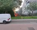Brand in struiken snel gedoofd