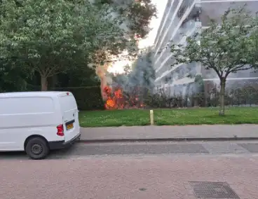 Brand in struiken snel gedoofd