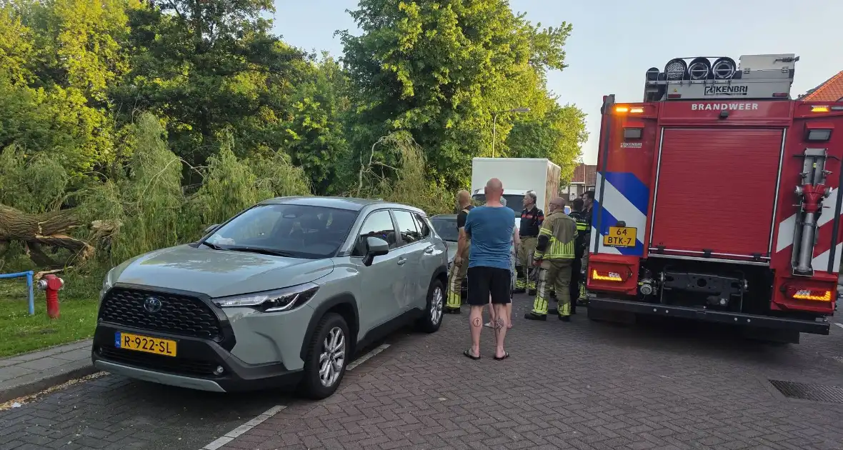 Grote tak breekt uit boom vandaan - Foto 1