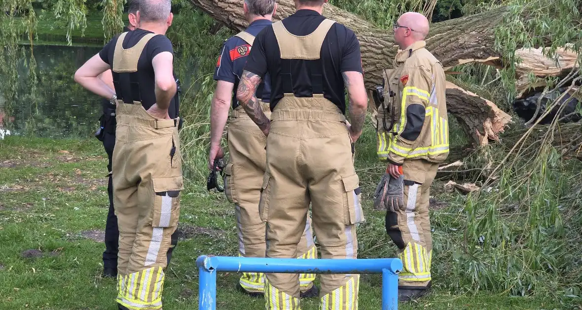 Grote tak breekt uit boom vandaan - Foto 4