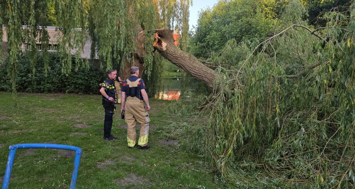 Grote tak breekt uit boom vandaan - Foto 5