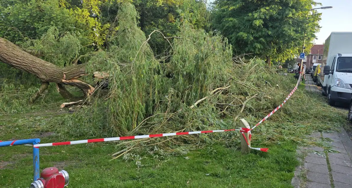 Grote tak breekt uit boom vandaan - Foto 7
