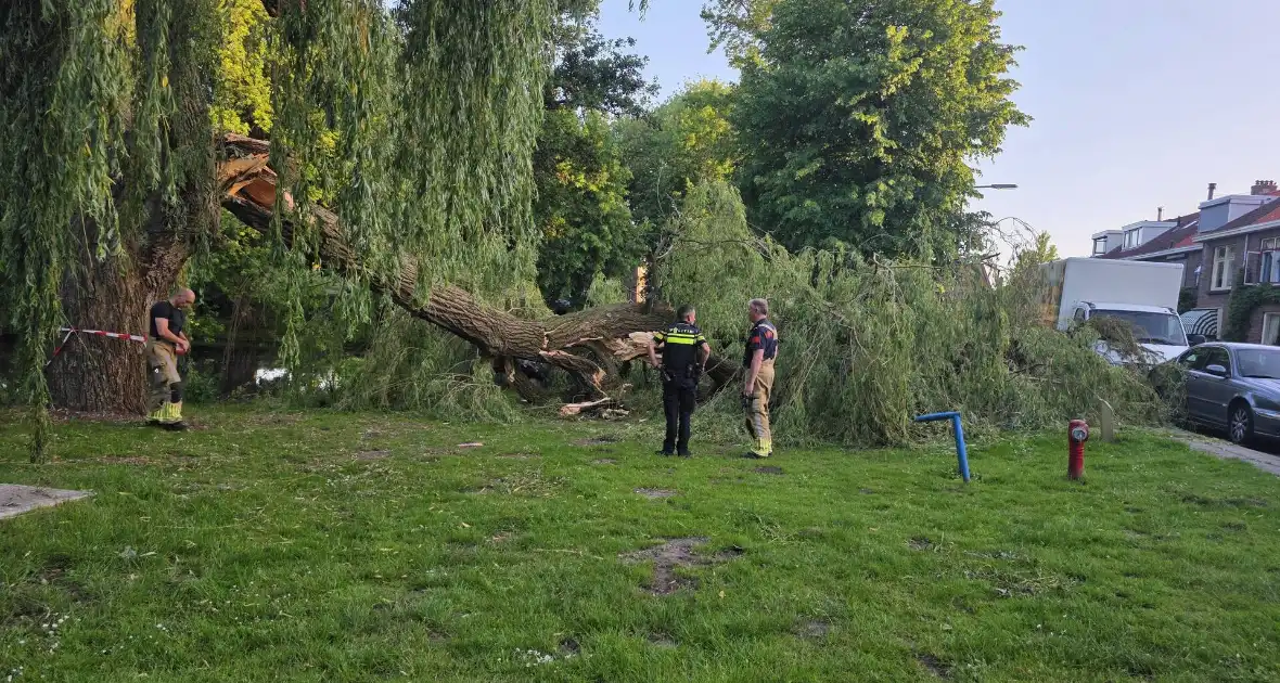 Grote tak breekt uit boom vandaan - Foto 8