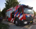 Brand in berm en struikgewas snel onder controle