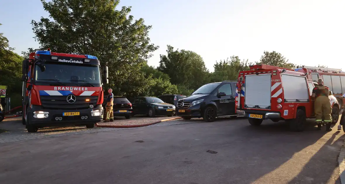 Brand in berm en struikgewas snel onder controle - Foto 5