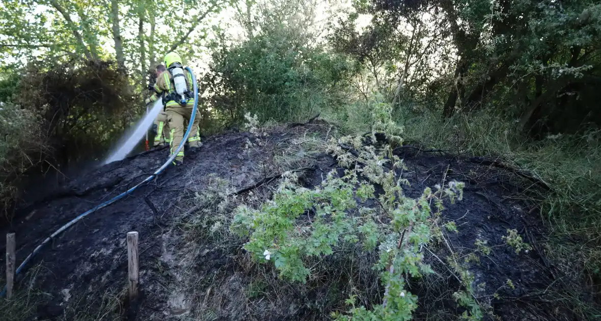 Brand in berm en struikgewas snel onder controle - Foto 8